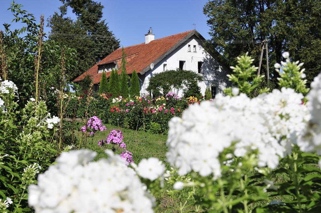 Agroturystyka Orzechowe Wzgorze Orzechowo  Eksteriør bilde